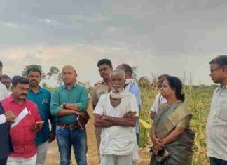अवकाळी वादळी वाऱ्याच्या पावसामुळे नुकसानग्रस्त शेतकऱ्यांच्या शेतीची पाहणी करण्यासाठी खासदार अशोक नेते थेट शेतकऱ्यांच्या बांधावर
