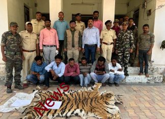 वाघाची चमडीची तस्करी करणाऱ्या आंतरराज्यीय सहा आरोपींना अटक #जिवती वनपरिक्षेत्र कर्मचार्याची कारवाई#