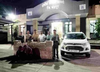 मूल-गडचिरोली रोडवर अवैध दारू वाहतूक करणारी चार चाकी पकडली;10 लाख 14 हजाराचा मुद्देमाल जप्त