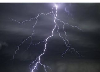 वीज पडून पाच जनावरांचा मृत्यू