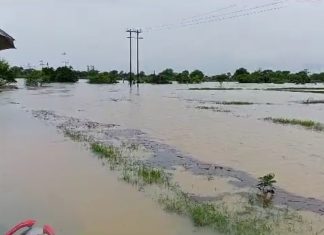 सावली तालुक्यातील अनेक मार्ग बंद :हजारों हेक्टर जमीन पाण्याखाली; सावली शहरातील अनेक प्रभाग जलमय