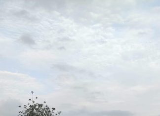 बेलगाव-नवेगाव रस्ता झाला खड्डेमय;नागरिकांना प्रवासासाठी होतोय मोठा अडथळा