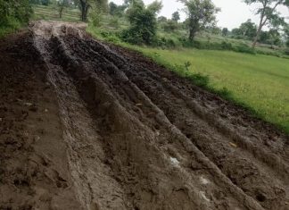 कसरगाव ते नदीघाट रस्त्याची दयनीय अवस्था; रस्त्याचे काम केव्हा होणार;शेतकऱ्यांचा प्रश्न
