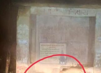 पावसामुळे अस्वलांनी घेतला प्रवासी निवाराचा आधार
