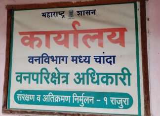 वनविभागाचे संरक्षण व अतिक्रमण निर्मूलन विभाग डोईजड?