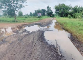 बोथली रस्त्यावरील खड्डा बनला जीवघेणा…