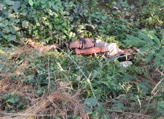 तुटलेल्या ताराच्या स्पर्शाने शेतकऱ्याचा मृत्यू