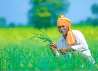 ऑनलाइन पोर्टल वर नोंदणी साठी 15 जानेवारी पर्यँत मुदत