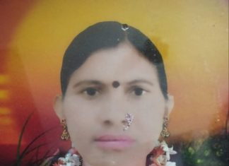 मुलाचा विवाह आटोपून घराकडे परतणाऱ्या आईचा अपघातात मृत्यू : सावली शहरात शोककळा