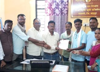 भूमी अभिलेख कार्यालयातील महिला कर्मचारी पॉल वर कारवाई करा