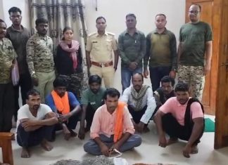 सश्याची शिकार करणाऱ्या सात आरोपीना मुद्देमालासह अटक