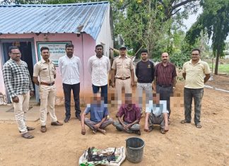 घोरपडीची शिकार करून विल्हेवाट लावण्याऱ्या तीन आरोपींना अटक