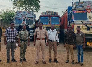 गोंडपिंपरी पोलिसांची गोवंश तस्करीविरुद्ध दमदार कारवाई