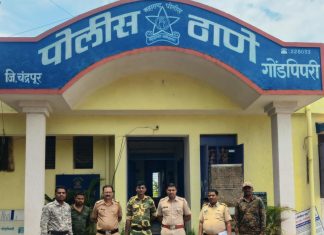 गडचिरोलीत तस्करी होणारी दारु पोलिसांनी पकडली