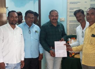 सावली शहरात वावरत असलेल्या जंगली डुकरांचा बंदोबस्त करा;कांग्रेस पदाधिकारी यांनी दिले निवेदन