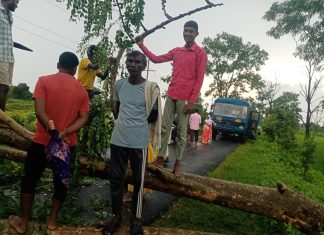 *रस्त्यावर झाड पडल्याने तब्बल 3 तास वाहतूक बंद ; गावकऱ्यांच्या मदतीने मार्ग पुन्हा सुरु*