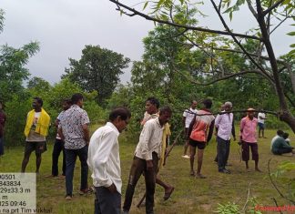 आत्ताची ब्रेकिंग न्यूज वाघाचा हल्ल्यात शेतकरी ठार