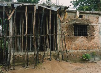 आत्ताची ब्रेकिंग न्युज… अस्वल घरात घुसली..ठाण मांडून बसली.