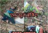आत्ताची ब्रेकिंग न्यूज….तेंदूपत्ता तोडण्यासाठी गेलेल्या महिलांवर वाघाच्या हल्ला;4 महिला ठार