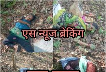आत्ताची ब्रेकिंग न्यूज….तेंदूपत्ता तोडण्यासाठी गेलेल्या महिलांवर वाघाच्या हल्ला;4 महिला ठार
