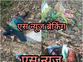 आत्ताची ब्रेकिंग न्यूज….तेंदूपत्ता तोडण्यासाठी गेलेल्या महिलांवर वाघाच्या हल्ला;4 महिला ठार