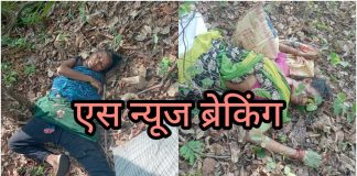 आत्ताची ब्रेकिंग न्यूज….तेंदूपत्ता तोडण्यासाठी गेलेल्या महिलांवर वाघाच्या हल्ला;4 महिला ठार
