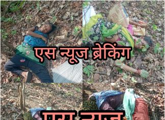 आत्ताची ब्रेकिंग न्यूज….तेंदूपत्ता तोडण्यासाठी गेलेल्या महिलांवर वाघाच्या हल्ला;4 महिला ठार