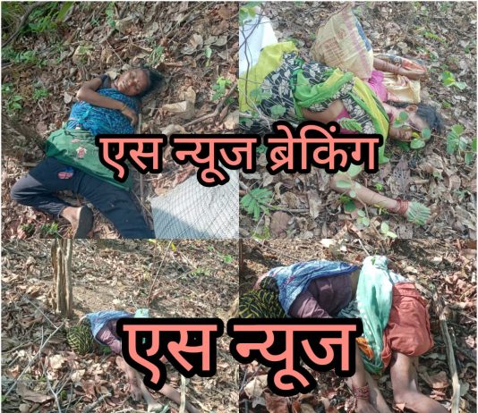 आत्ताची ब्रेकिंग न्यूज….तेंदूपत्ता तोडण्यासाठी गेलेल्या महिलांवर वाघाच्या हल्ला;4 महिला ठार