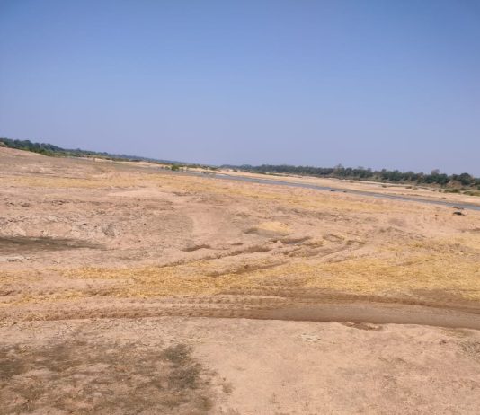 त्या’ रेतीघाटांची ड्रोन मॅपिंग कधी?;सावली तालुक्यात अवैध उत्खननाने नदीपात्र धोक्यात;